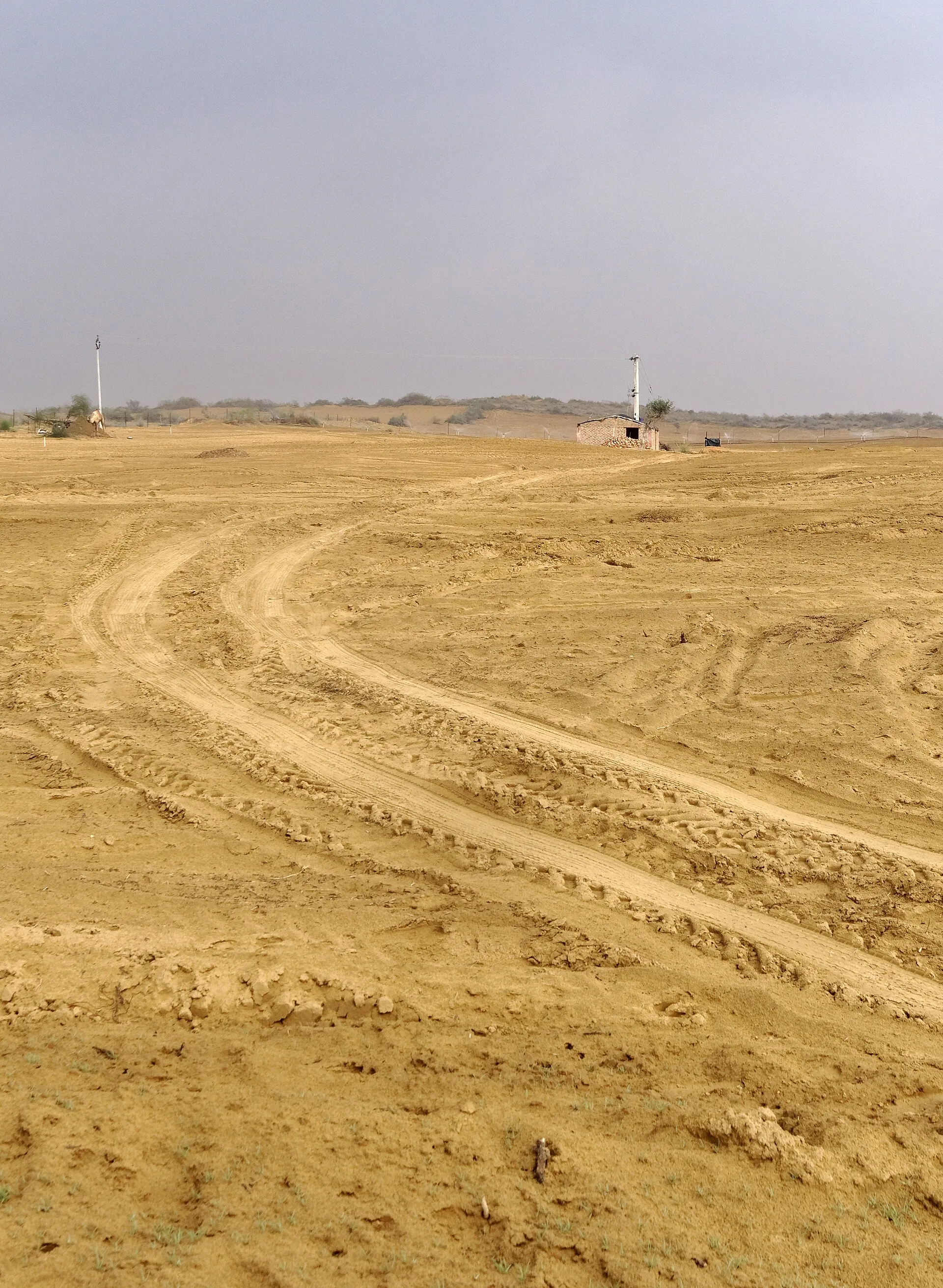 Bikaner Desert Safari — Bikaner