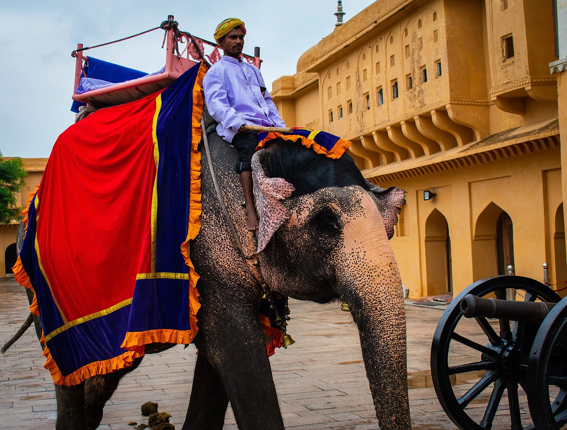 Jaipur sightseeing — Amber Fort, Jal Mahal, Nahargarh Fort