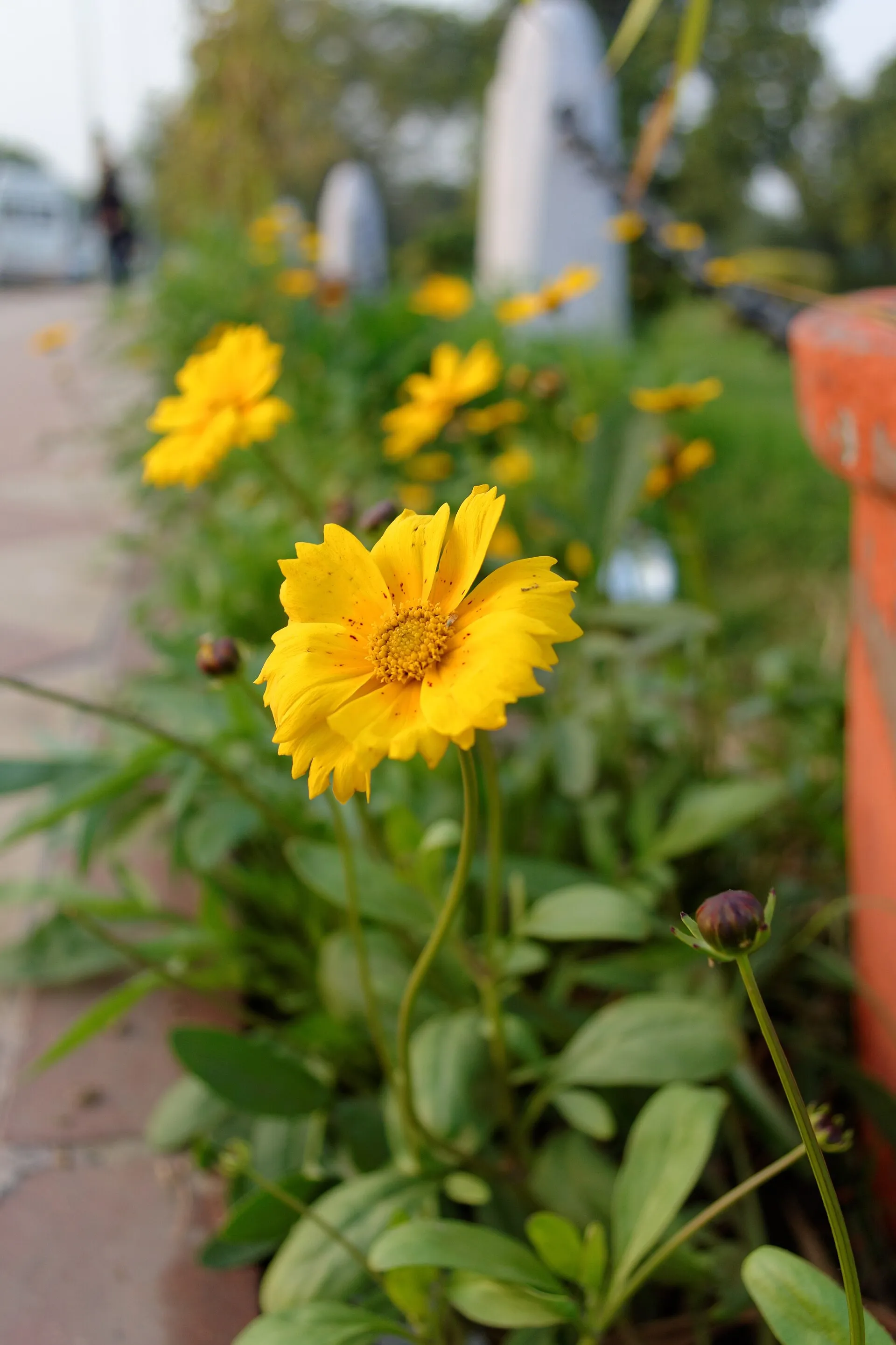 Manali Tour from Delhi | Free Solang Valley — Manali, Solang Valley