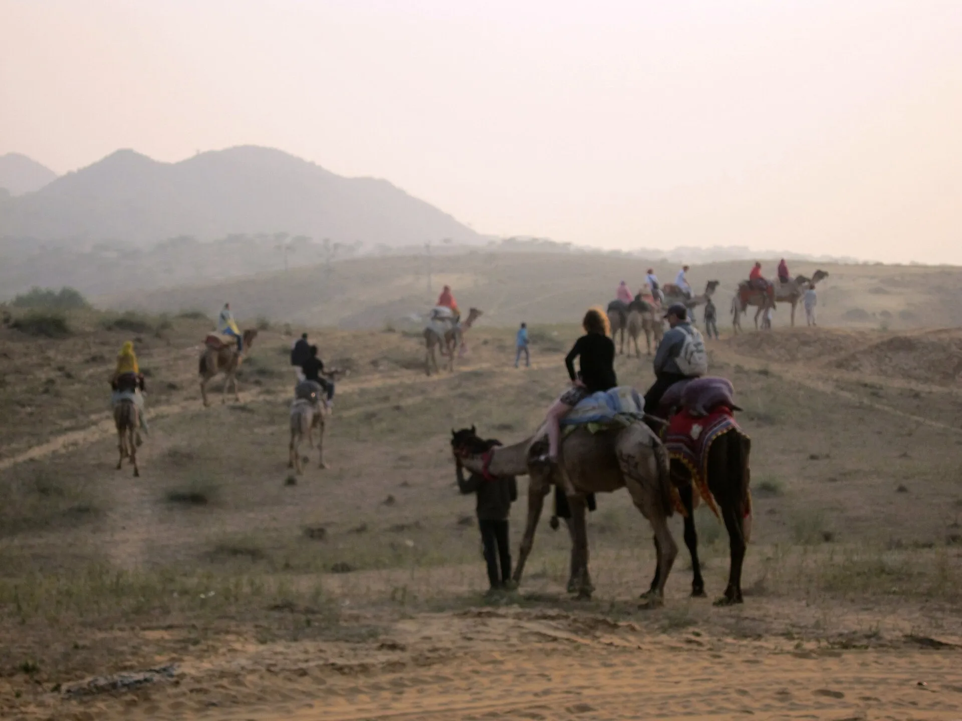 Pushkar Camel Safari — Pushkar