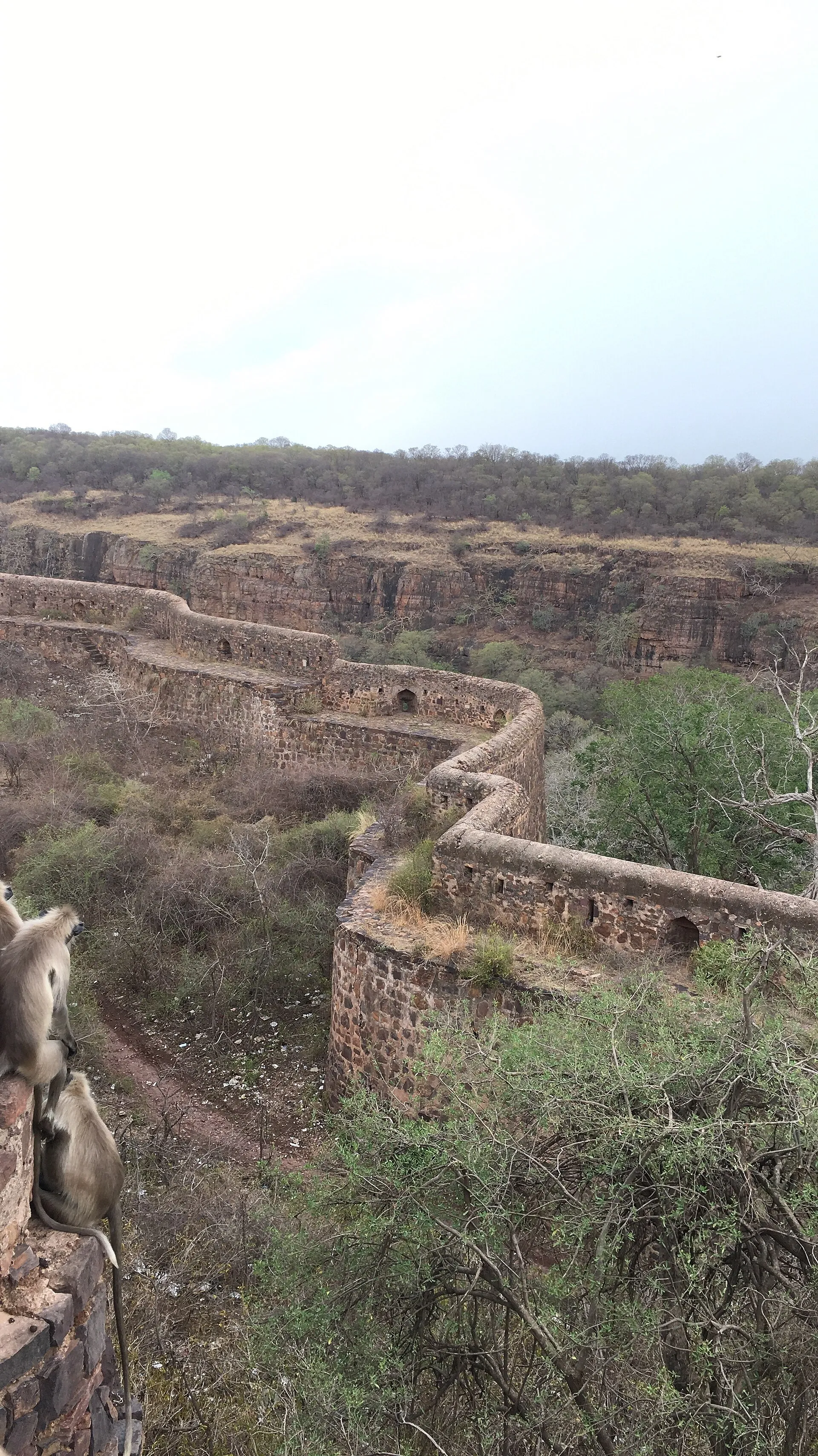 Rajasthan Wildlife Tour — Ranthambore, Jaipur